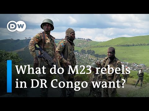 African leaders call for truce in eastern DR Congo | DW News