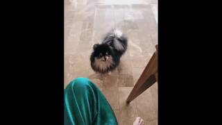 190226 BTS V TWITTER UPDATE WITH YEONTAN