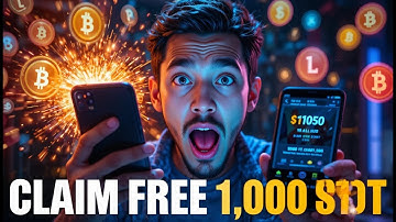 How Telegram Crypto Bots Work: A Practical Test and Analysis