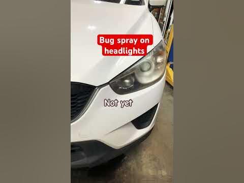 Bug Spray on Headlights - YouTube