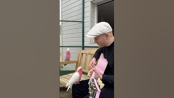 When they start dancing 🥹😭