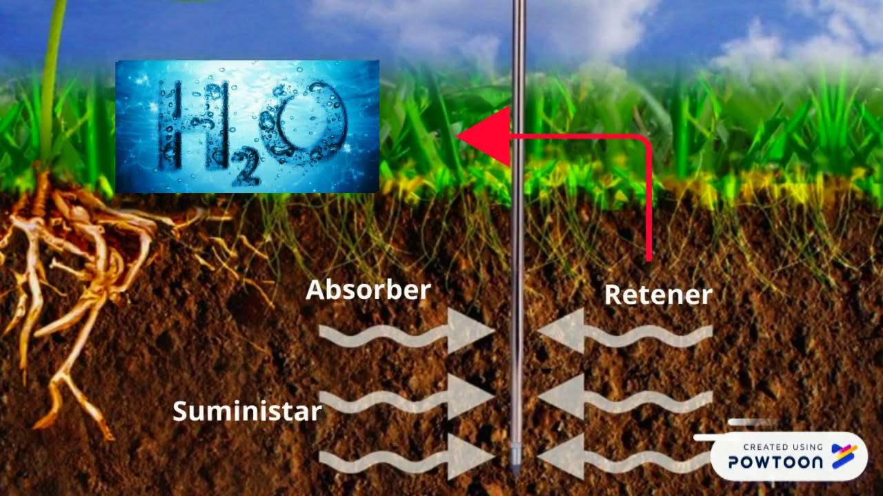 capacidad de retencion de agua - YouTube