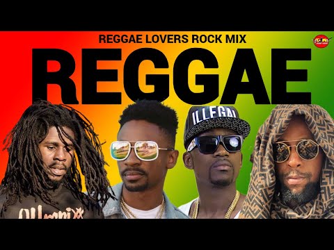 音楽DVD  HIPHOP，EDM，R&B，ROCK，REGGAE 音楽DVD HIPHOP，EDM，R&B，ROCK，REGGAE ReggaeDVD - MIXCD