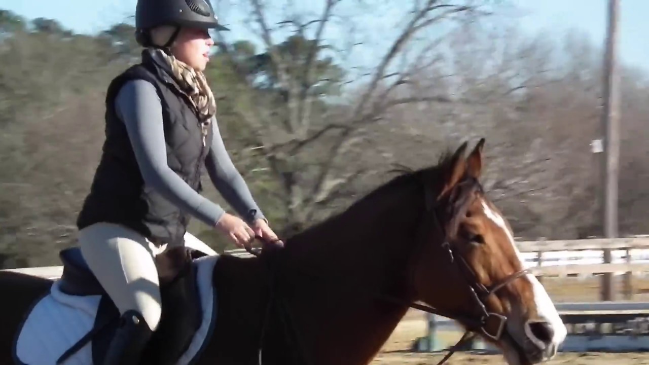 USC IHSA Equestrian Team Spring Practice YouTube
