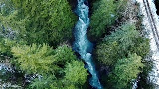 Middle Fork Satsop River | Fool's Canyon | Kayak