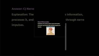 mcqs practice on the nervous system in animals with explanation for class 10#mcqspractice#sciencemcq