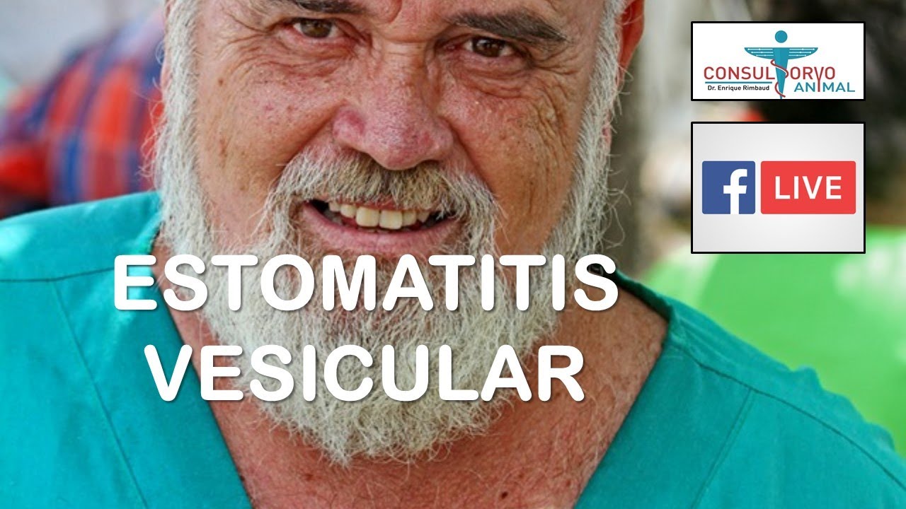 ESTOMATITIS VESICULAR 