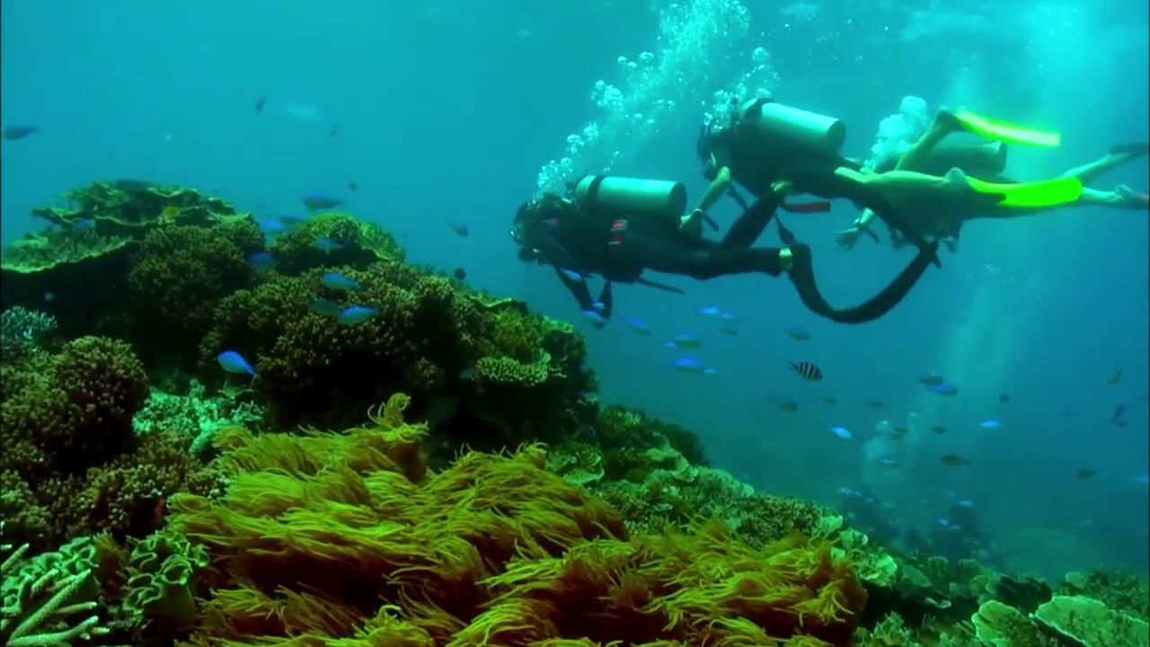 Sanya is ranked by international diving experts as one of the top diving locations.