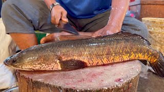 Giant Sola Fish Cutting Skills Live In Bangladesh Amazing Fish Cutting Skills Bd