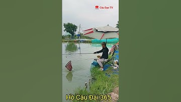 #shorts √câu cá chép tốc độ @Câu Dạo Tv
