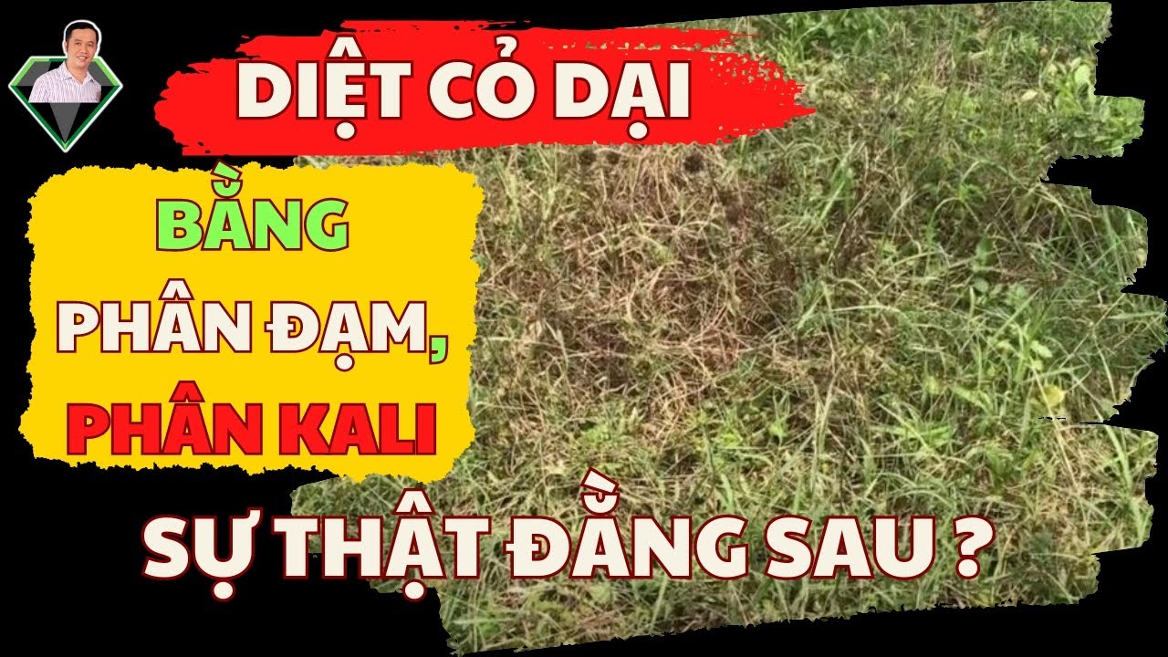 Sự Thật Về Diệt Trừ Cỏ Dại Bằng Phân Đạm, Phân Kali | Lương Hồng Sơn