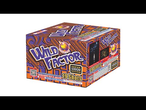 WILD FACTOR 19 SHOTS