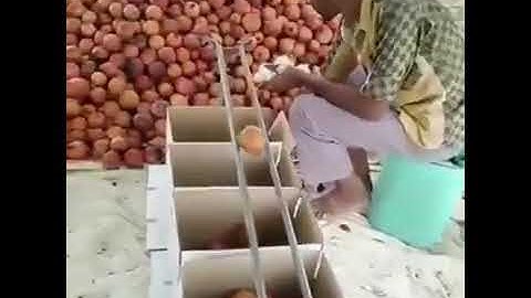 apple sorting as per size. indian jugad. zero cost