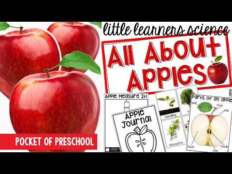 Little Learners Science All About Apples