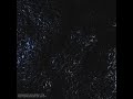 My Chemical Romance The Foundations Of Decay Official Acapella 