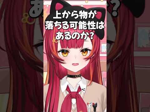 地震発生時の危機管理能力がバッチリすぎる猫汰つな【ぶいすぽっ/切り抜き】#ぶいすぽ #ぶいすぽ切り抜き  #vtuber