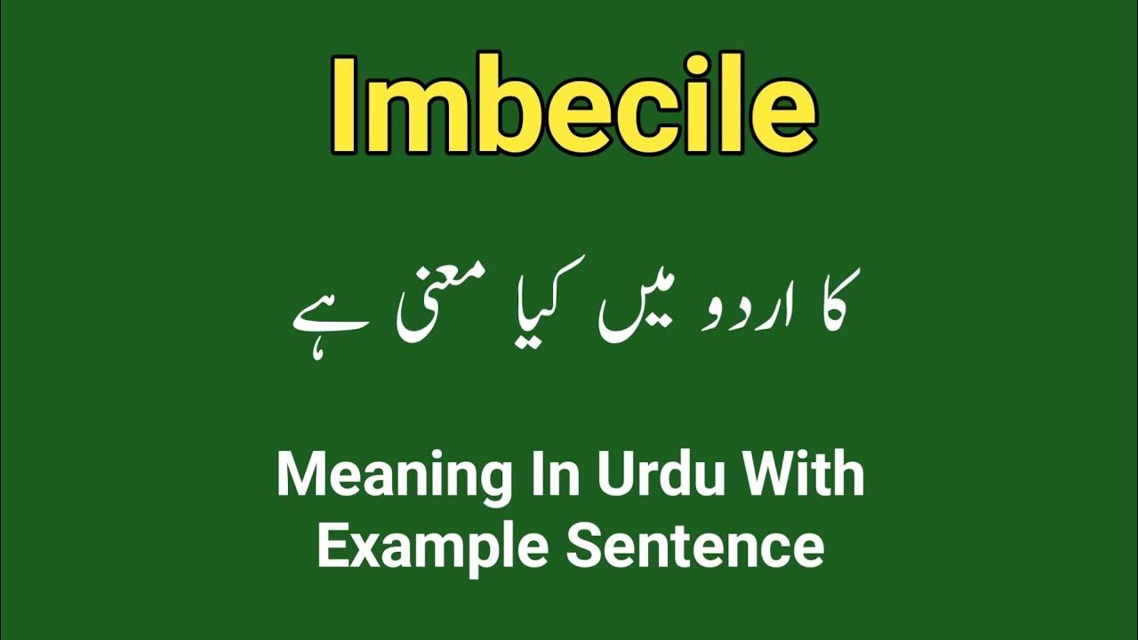 Imbecile Meaning In Urdu hindi Imbecile Ka Matlab Kia Ha Meaning imbecile-meaning-in-urdu-hindi-imbecile-ka-matlab-kia-ha-meaning