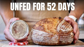 Only Ten Grams of Crusty Fifty-Day-Old Starter Made this Epic Sourdough Loaf by Culinary Exploration 12,543 views 7 months ago 5 minutes, 49 seconds