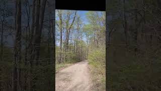 Grounding in Nature - Forest Bathing Pam style #forestbathing #mothernature #mothersday Grounding in Nature - Forest Bathing Pam style #forestbathing #mothernature #mothersday