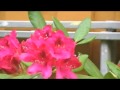 YouTube ‪Elem Syryn Bilyen Biri Bar †‏ YouTube ‪Elem Syryn Bilyen Biri Bar †‏
