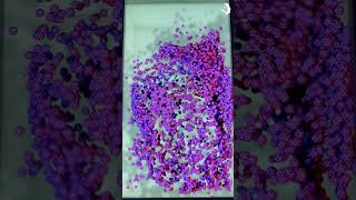 Nike | Immersive Art | Mixed Media | New Media Art | Interactive Particles | Touchdesigner