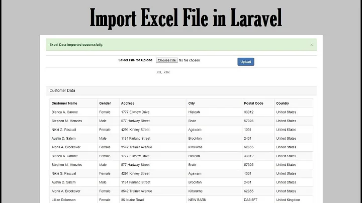 How to Import Excel Data in Laravel and Insert into Database