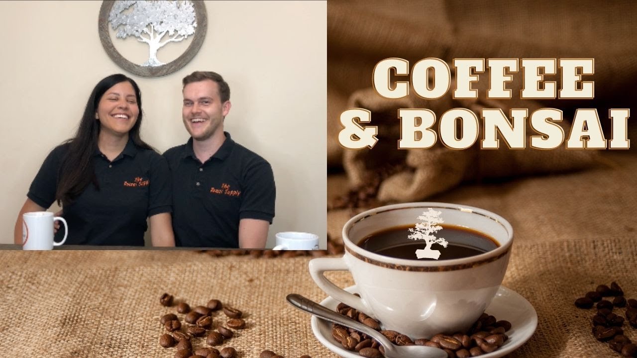 Bonsai & Coffee Mari interviews Jerome The Bonsai Supply YouTube