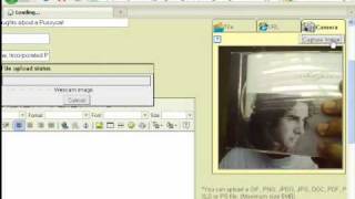 Auto Fix Examples