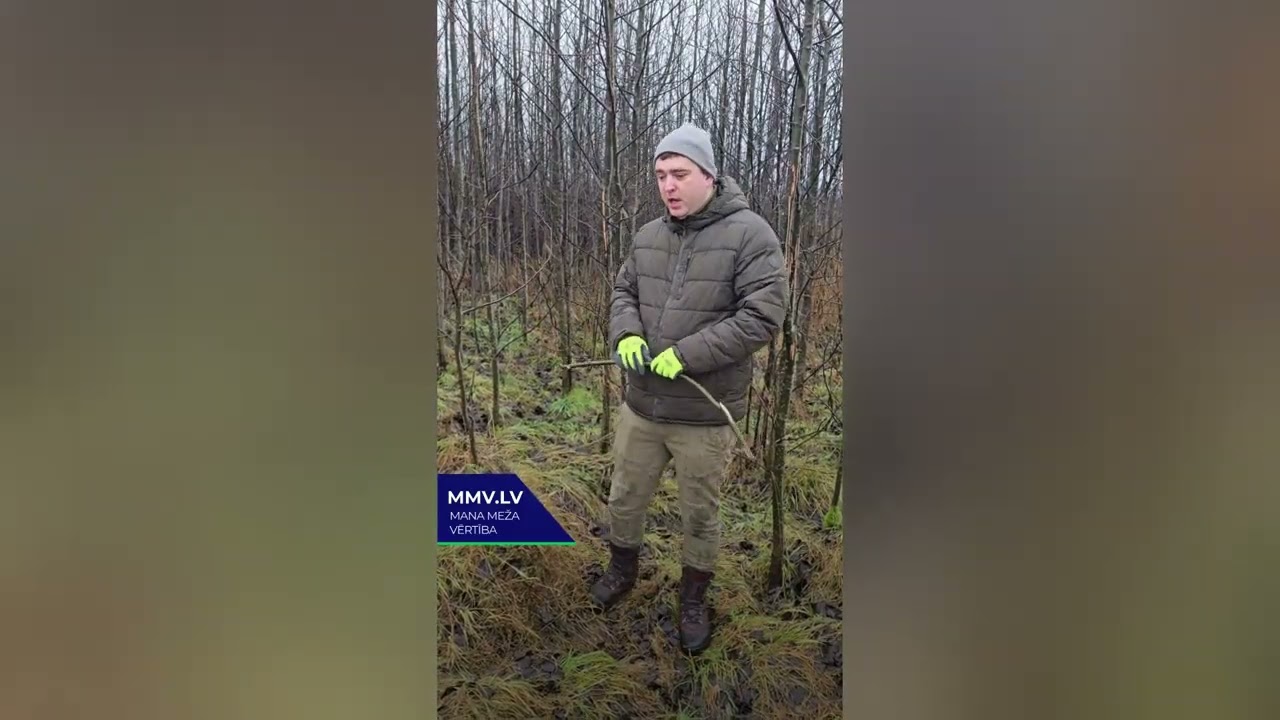 Jaunaudžu kopšana praksē: kāpēc iespējas tiek palaistas garām