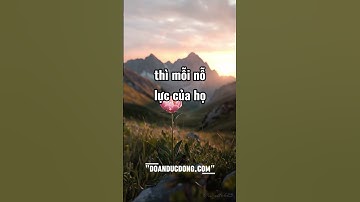 Đàn ông có một cái tính rất lạ #shorts #doanducdong