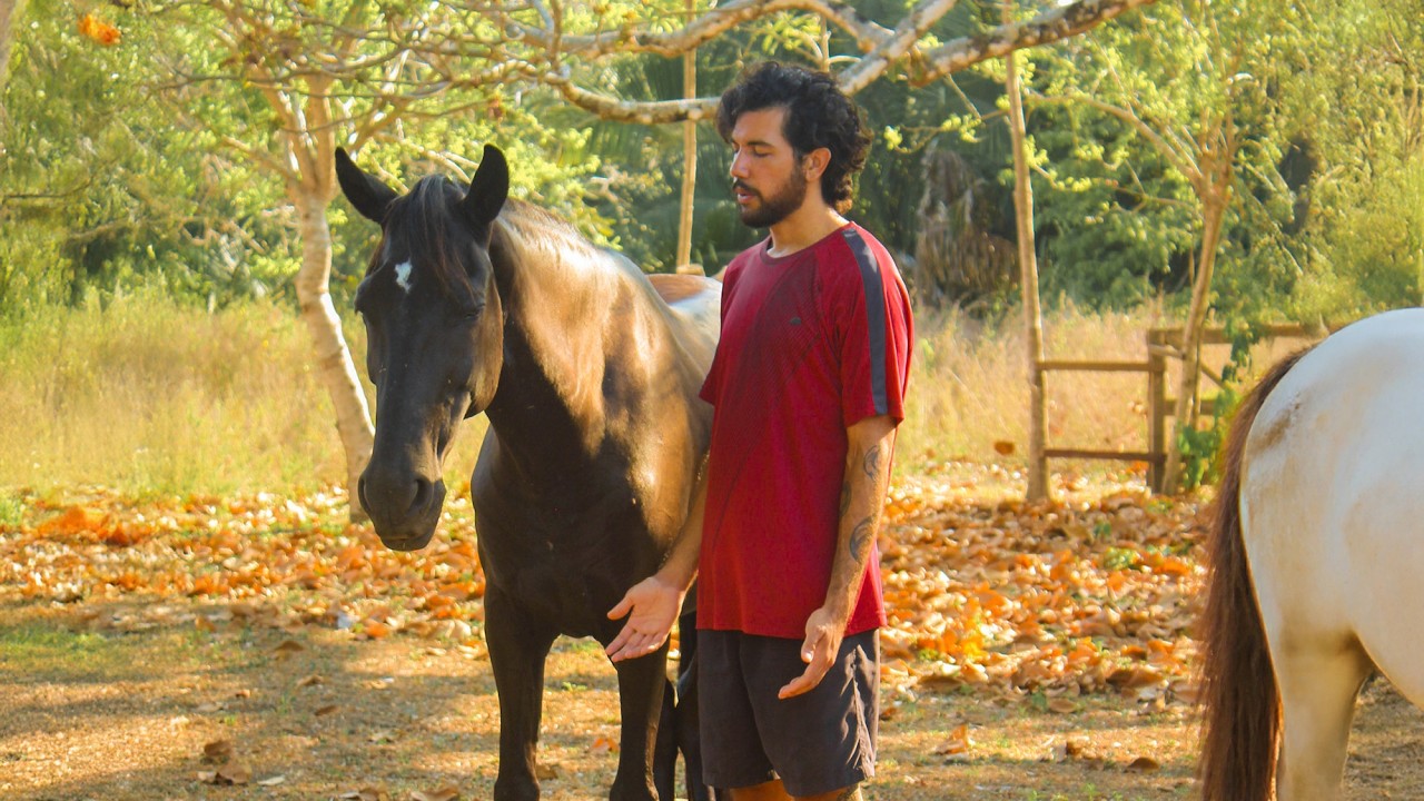 Journeys of The Herd | Javier's Story of Patience, Presence, and the Power of Connection with Horses