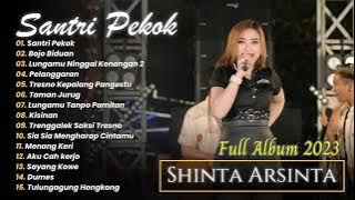 Shinta Arsinta - SANTRI PEKOK - PELANGGARAN - BOJO BIDUAN | ANEKA SAFARI | FULL ALBUM 2023