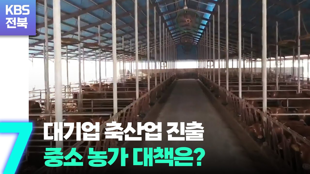 대기업 축산업 진출…중소 농가 대책은? / KBS  2022.08.31.