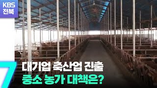 대기업 축산업 진출…중소 농가 대책은? / KBS  2022.08.31.