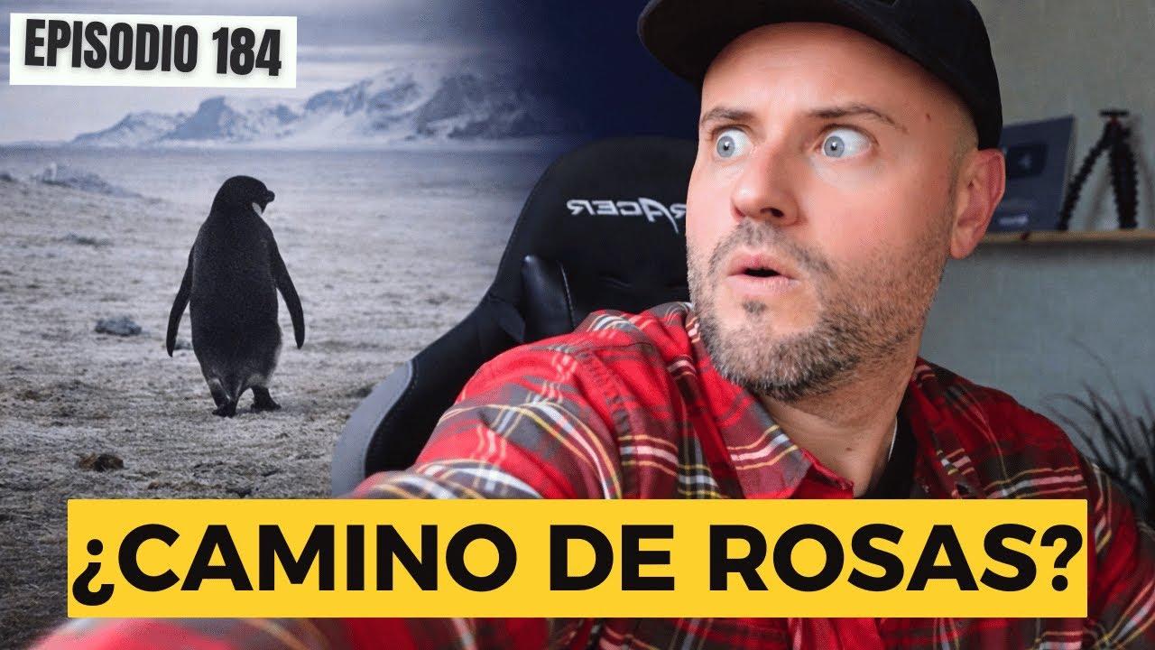 Cómo hablar de OPTIMISMO en español – Expresiones que nos enseña el Pingüino Nihilista