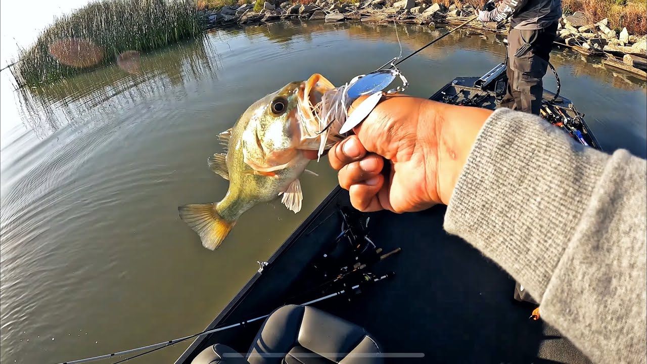 Bass Fishing at Buena Vista, Bakersfield Ca (2022)