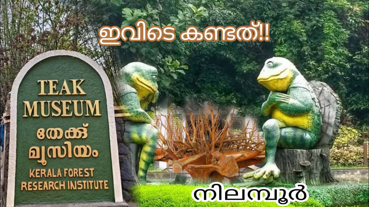 How to travel Nilambur Teak museum  #keralatourism