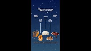 Mushroom benefits*
Check out the POWer of these popular mushroom species! 🎆
#mushrooms #4thofjuly #mycelium *These statements have not been evaluated by the Food and Drug Administration. These products are not intended to diagnose, treat, cure, or prevent any disease. Mushroom benefits*
