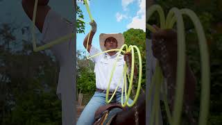 Vaquería Equestria By Classic Equine