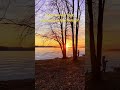 This video will cure your anxiety in 60 seconds#love#relaxing#nature#sunset#calmmusic#beautiful