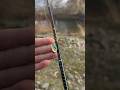 Creek adventures Pt 1 #fishing #viral #uglystik #spillway #trending #foryou  #fishing