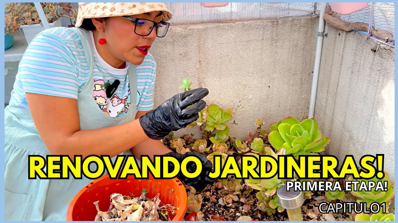 INICIANDO PROYECTO NUEVO | Extraccion de Suculentas de jardinera | Serie