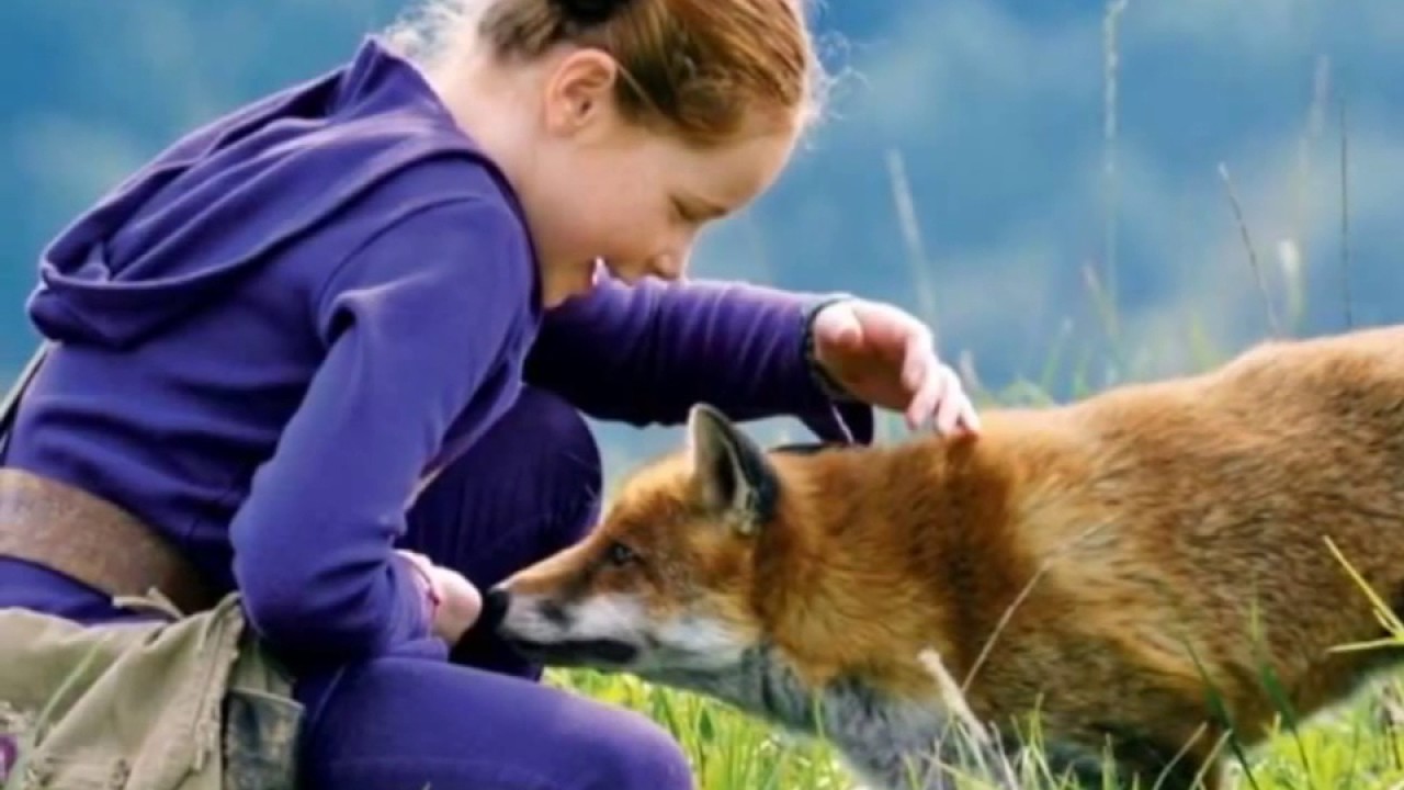Le Renard et l'enfant - YouTube