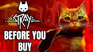 STRAY  12 Things You NEED TO KNOW Before You Buy