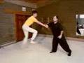 Bruce Frantzis Fa Jin 2
