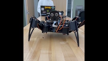 Big Hexapod Movement Tests