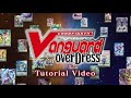 Master the basics in 10 minutes vanguard tutorial