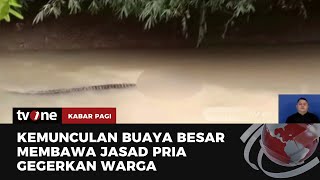 Penampakan Seekor Buaya Bawa Jasad Pria Susuri Sungai | Kabar Pagi tvOne