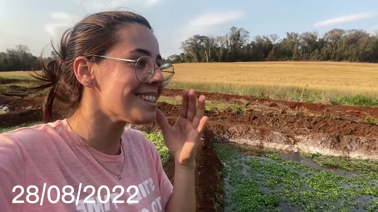 PLANTIO DE AGRIÃO CRESCENDO A TODO VAPOR | Mais de 20 canteiros