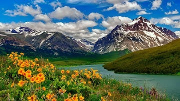 سورة الأنبياء.قَالَ لَقَدْ كُنتُمْ أَنتُمْ وَآبَاؤُكُمْ فِي ضَلَالٍ مُّبِينٍ.اسلام صبحي مع طبيعة4k